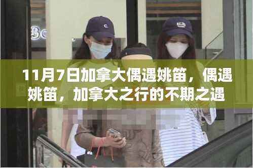 加拿大之行中的姚笛不期之遇,11月7日的惊喜邂逅