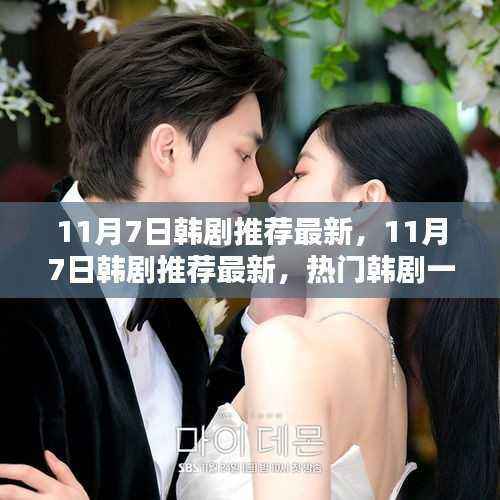 最新韩剧推荐,带你领略潮流风尚