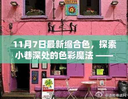 最新缩合色探索,小巷深处的色彩魔法与小店的秘密揭秘