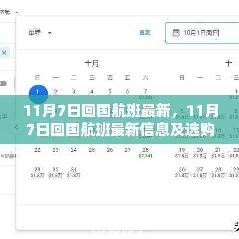 11月7日回国航班最新信息及选购攻略