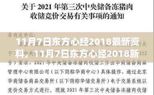 11月7日东方心经2018新篇章,变化、成长与学习的阶梯