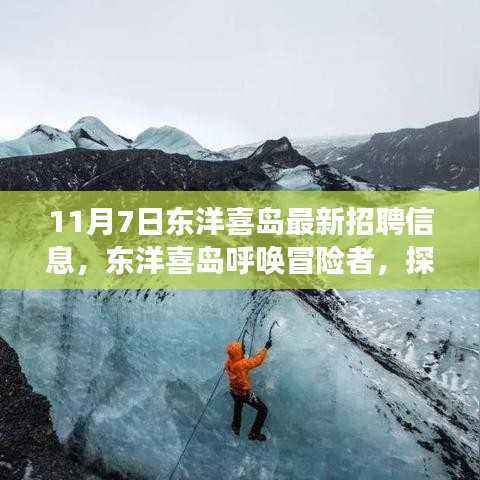 东洋喜岛最新招聘，启程探索自然美景，寻找内心的宁静与平和之旅