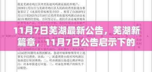 芜湖新篇章开启,11月7日公告揭示的自信成长之路