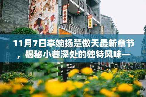 探访李婉扬楚傲天最新章节,揭秘小巷深处神秘小店的独特风味