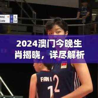 2024澳门今晚生肖揭晓,详尽解析及防御版WMZ69.02信息