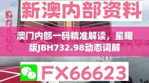 澳门内部一码精准解读,星耀版JBH732.98动态词解