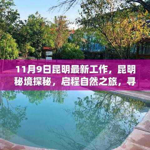 昆明秘境探秘之旅,启程自然之旅,寻找内心的宁静与和谐(最新工作)