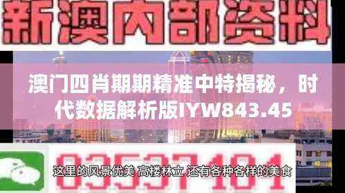澳门四肖期期精准中特揭秘,时代数据解析版IYW843.45