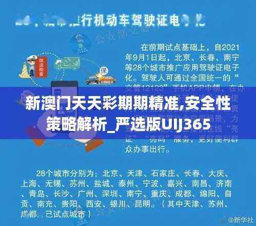 新澳门天天彩期期精准,安全性策略解析_严选版UIJ365