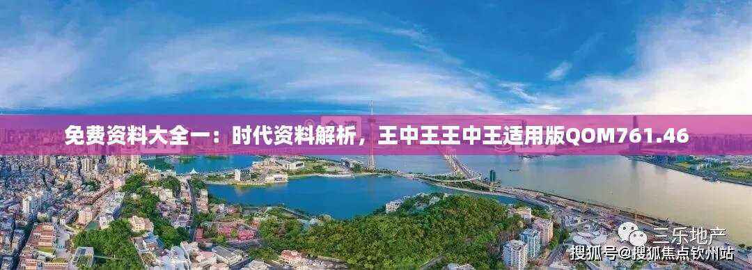 免费资料大全一:时代资料解析,王中王王中王适用版QOM761.46