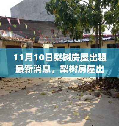 11月10日梨树房屋出租动态,回顾与展望