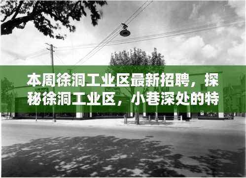 探秘徐洞工业区,小巷特色小店与本周最新招聘盛宴揭晓!