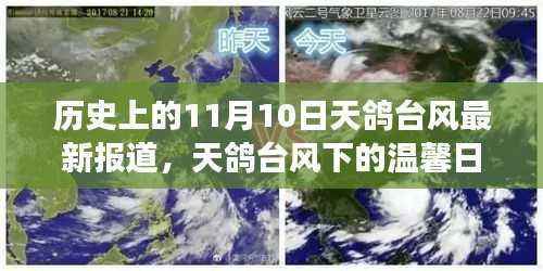 天鸽台风下的友情与陪伴,历史时刻下的温馨日常最新报道