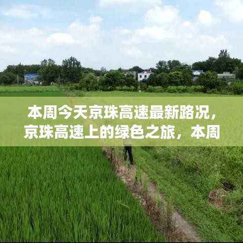 京珠高速本周最新路况与绿色之旅的心灵体验