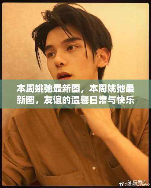 本周姚弛最新图集,友谊的温馨与快乐时光
