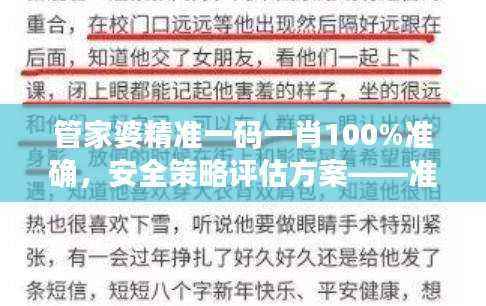 管家婆精准一码一肖100%准确,安全策略评估方案——准神OBT434.56