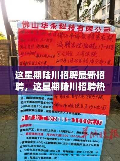 陆川本周招聘热点解析,最新招聘信息一网打尽