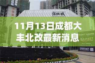 成都大丰北改最新动态,11月13日的脉搏与回响