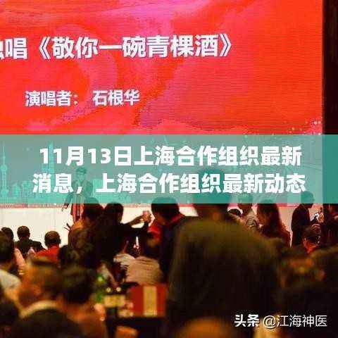 上海合作组织最新动态下的多元视角解读,合作共赢视角下的探讨与最新消息(11月13日)
