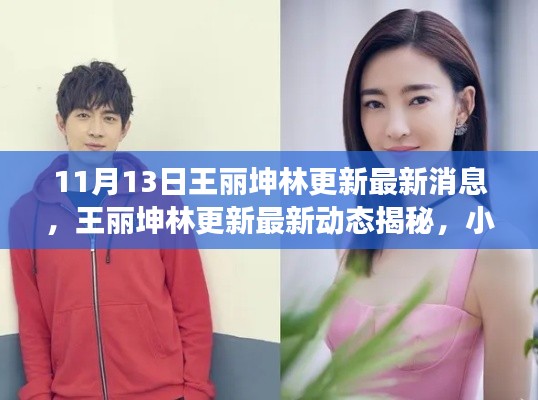 王丽坤林更新最新动态揭秘,美食天堂与小巷深处的秘密故事!