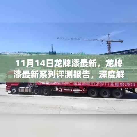 深度评测报告,龙牌漆最新系列产品特性与用户体验解析