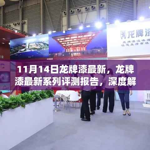 深度评测报告,龙牌漆最新系列产品特性与用户体验解析