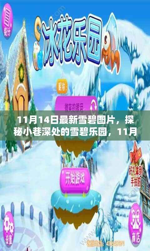 独家揭秘,小巷深处的雪碧乐园,最新图片分享(11月14日)