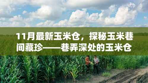 探秘玉米巷间藏珍,揭秘最新玉米仓秘境