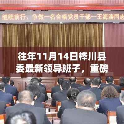 桦川县委最新领导班子重磅更新,历年阵容一览表揭晓!