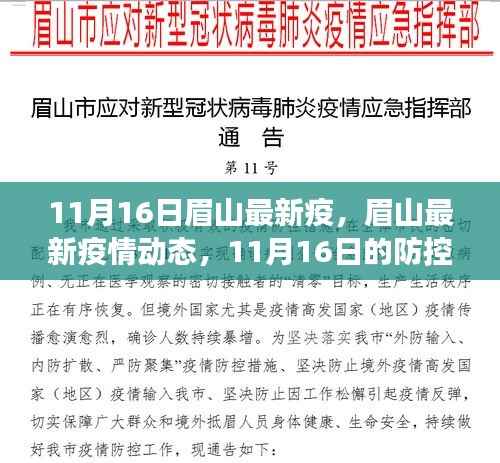 眉山疫情动态更新,11月16日防控进展与民众生活观察