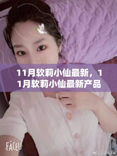 11月软莉小仙最新产品评测与介绍,全面了解最新动态