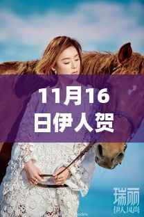 深度探索之旅,伊人贺兰雪最新章节揭秘