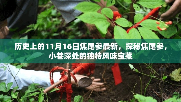 焦尾参,历史探寻与小巷深处的独特风味宝藏