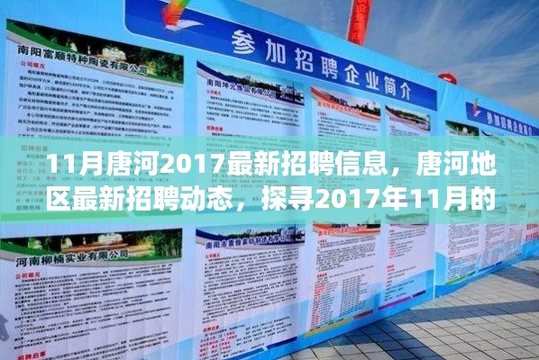 探寻唐河地区最新招聘动态,人才盛宴背后的故事与影响