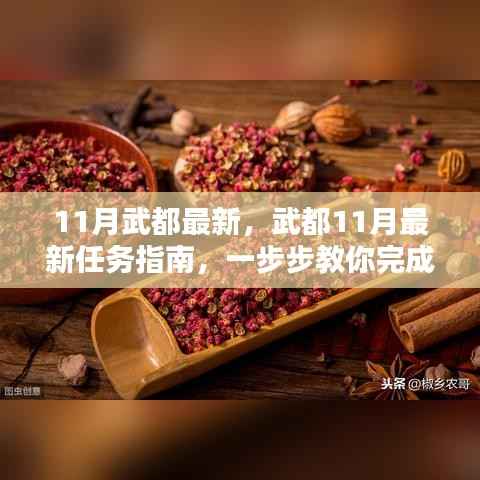 武都11月任务指南,逐步完成新任务与学习技能的实用指南