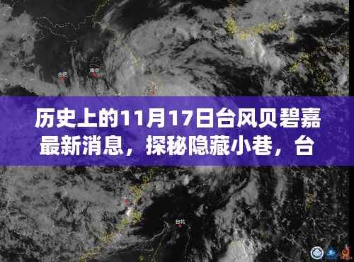 台风贝碧嘉下的特色小店奇遇记,历史11月17日最新消息探秘隐藏小巷的魅力