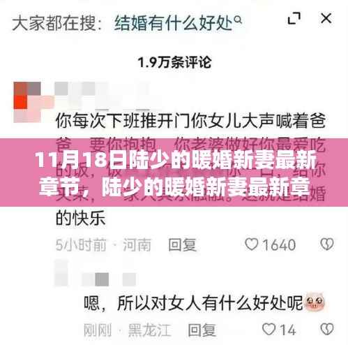 陆少的暖婚新妻最新章节探微,背景、事件与时代地位分析