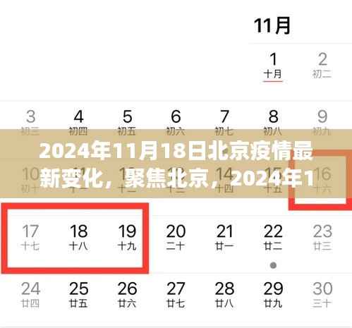 北京疫情最新动态解析,聚焦深度变化,关注疫情进展报告(2024年11月18日)
