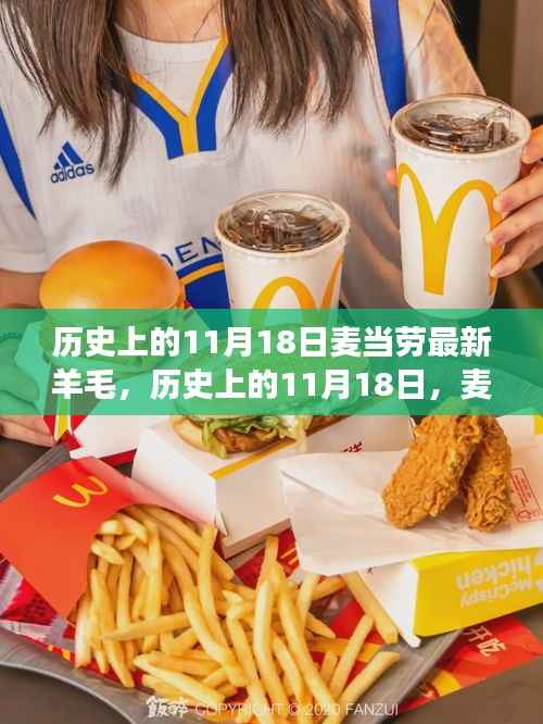 历史上的11月18日,麦当劳羊毛日传奇与营销创新之旅揭秘