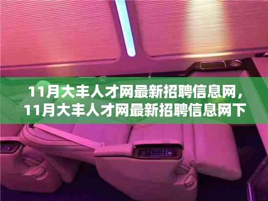 11月大丰人才网最新招聘信息网，求职机遇与挑战一览