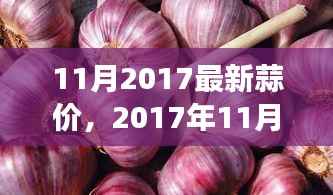 时代印记下的市场波动,2017年11月蒜价风云