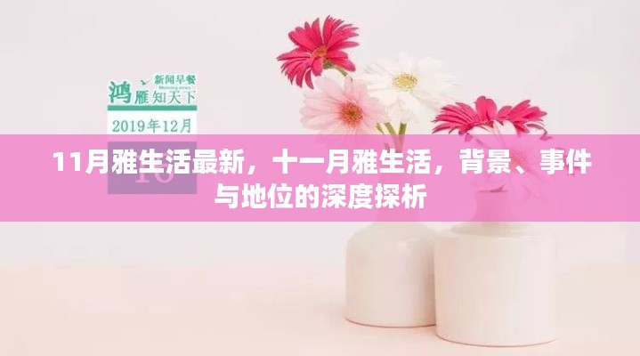 深度解析,十一月雅生活的背景、事件与地位