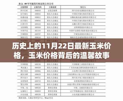历史上的11月22日最新玉米价格,玉米价格背后的温馨故事,一个特别的11月22日