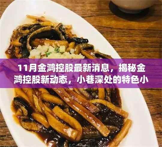揭秘金鸿控股最新动态,小巷深处的特色小店探索之旅