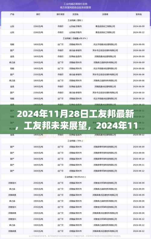 工友邦未来展望,2024年11月28日的机遇与挑战