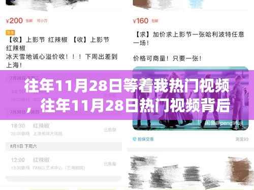 往年11月28日热门视频背后的励志故事,自信成就梦想之路的学习变化之旅