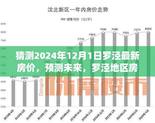聚焦罗泾地区未来房价走势,预测分析至2024年12月最新动向与趋势分析。