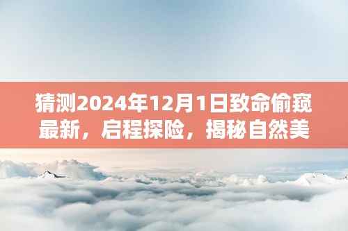 揭秘自然美景背后的秘密,探险启程,偷窥致命之美,探寻内心宁静乐园的未知之旅(2024年最新)