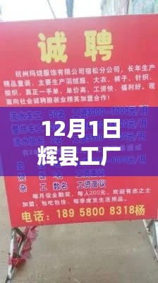 辉县工厂最新招聘动态,暖心岗位与友情故事的交织