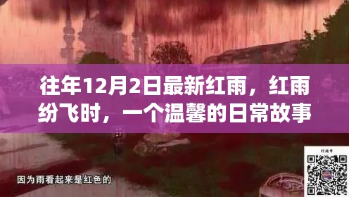 温馨日常故事,红雨纷飞之时